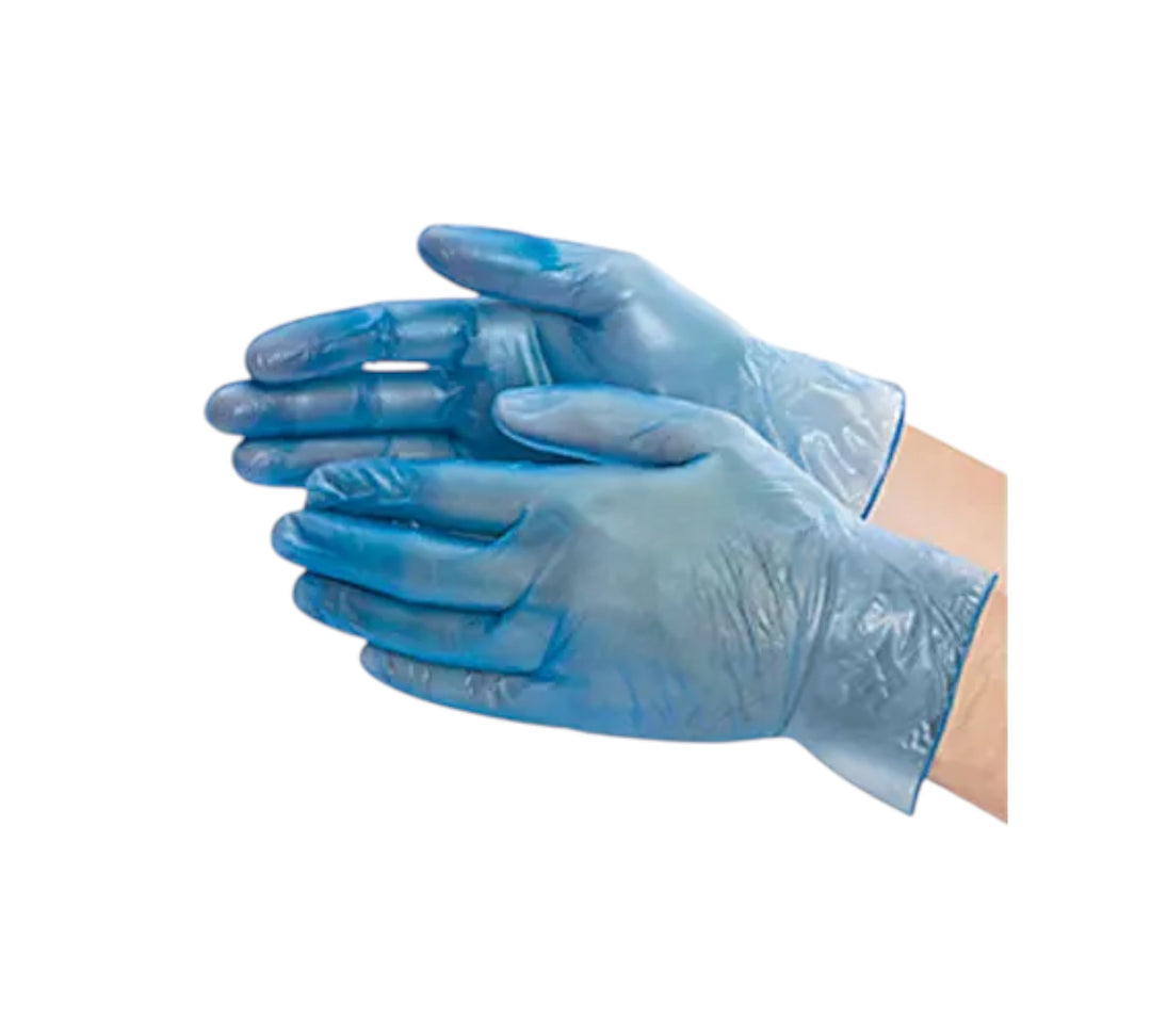 Eco Blue Vinyl Gloves Powder Free (10x100/ctn)